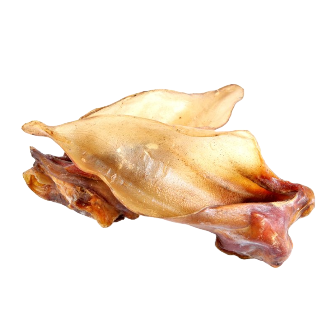 Kausnacks